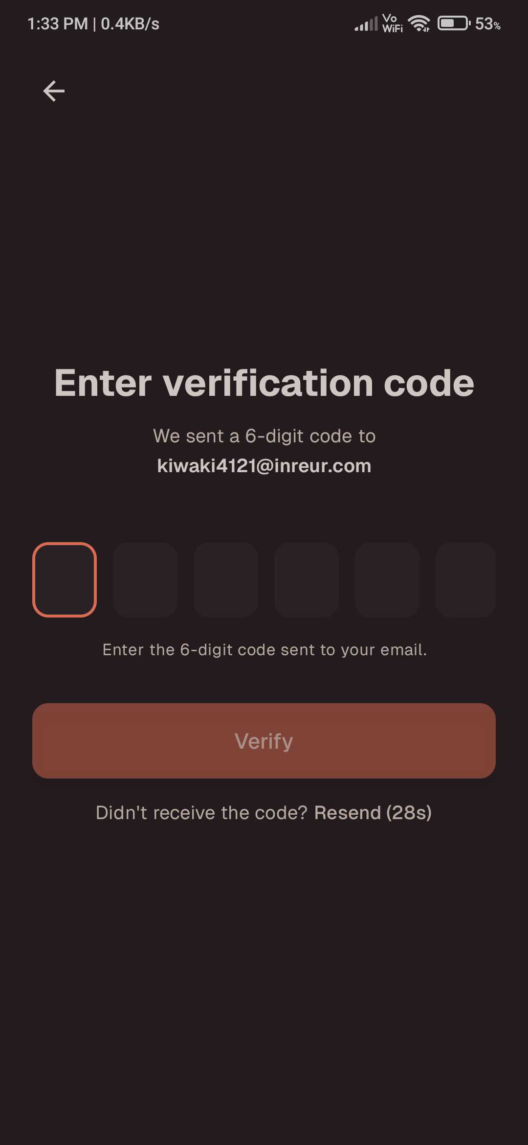 Email OTP Verification Screen - Mobile View